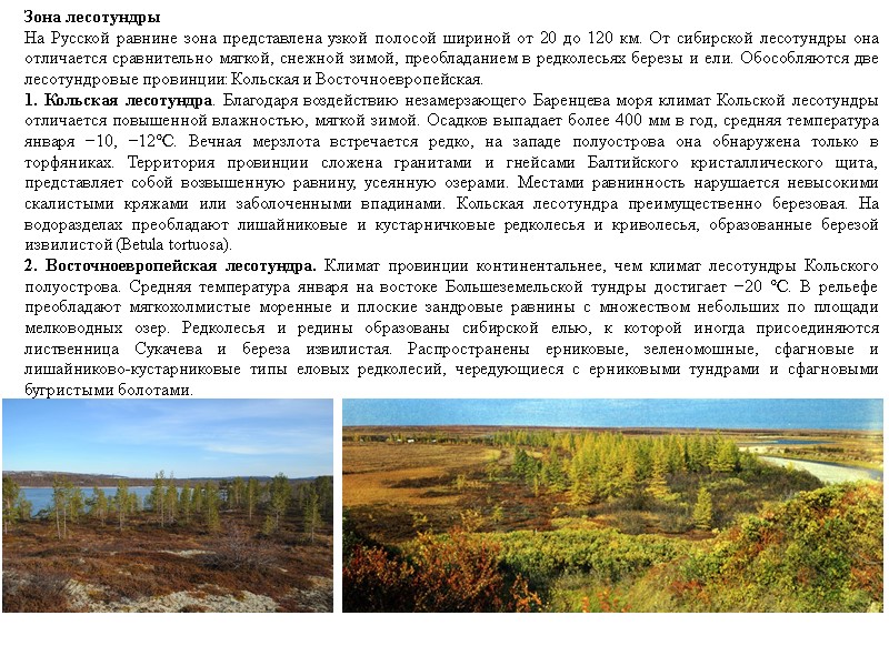 Зона лесотундры На Русской равнине зона представлена узкой полосой шириной от 20 до 120